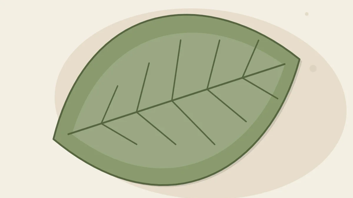 A finished leaf-shaped clay dish in sage green with the veins clearly pressed into its surface, top-down view