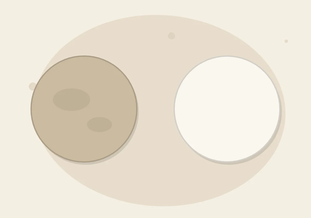 Two identical clay discs side by side: the left one darker and damp-looking, the right one lighter and fully dry